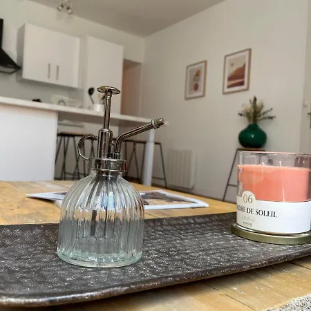 Apartment Superbe T3 Entierement Renove Hyper Centre *